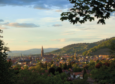 Freiburg-View