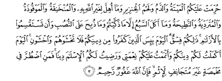 Arabic text of Qur'an 5:3; image from quran.com.